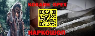 Альфа ПВП Будённовск