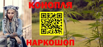 Альфа ПВП Будённовск