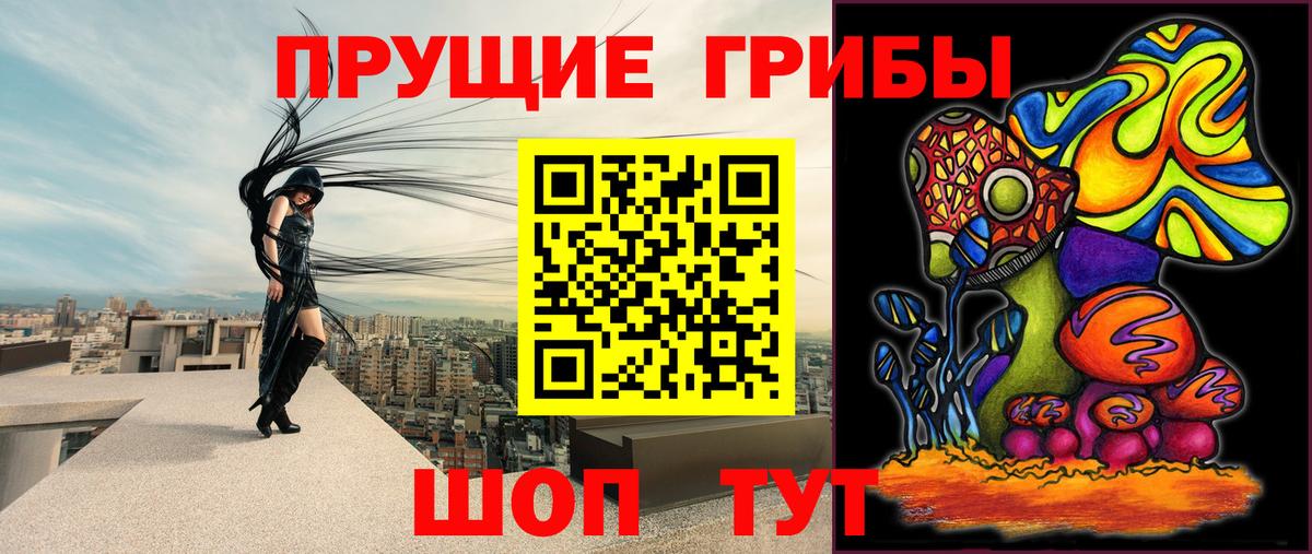 Галлюциногенные грибы GOLDEN TEACHER  хочу   Вход с VPN  Саранск  Псилоцибиновые грибы Magic Shrooms 